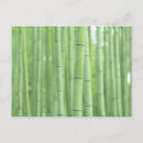Recherche de bambous cartes postales Jour