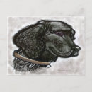 Zoek naar labrador retriever briefkaarten Canine