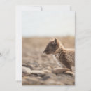 Recherche de renard arctique vœux cartes Animal mignon