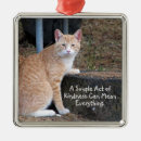 Zoek naar tabby cat ornamenten Oranje kat