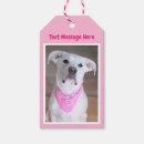 Recherche de oreilles cadeau emballages Chiot