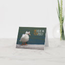 Recherche de canard blanc Mallalard