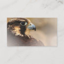 Recherche de fauconnerie cartes visite Oiseaux