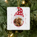 Recherche de animaux mémoriaux Dans la mémoire aimante