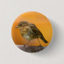 Recherche de branché badges Coloré