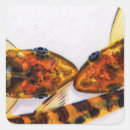 Recherche de poisson chat autocollants Aquarium