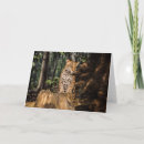 Zoek naar jaguaren kaarten Wild