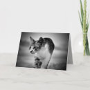 Recherche de recherche vœux cartes Chat