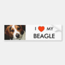 Recherche de chien beagle voiture autocollants Délivrance