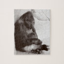 Recherche de sommeil photographie Faune