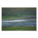 Zoek naar pelikaan posters Landschap