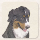 Recherche de berne dessous de verres Chien de montagne bernois