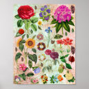 Zoek naar botanische illustraties posters Natuur