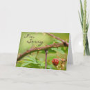 Recherche de fâcher cartes postales Désolé