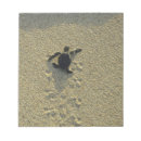 Recherche de tortue blocsnotes Tropical