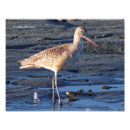 Recherche de marbre brun posters Bleu
