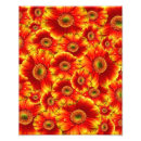 Recherche de fleurs marguerite gerbera art Marguerie
