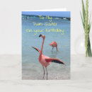 Recherche de flamants photographie Pour eux