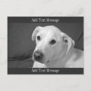 Recherche de monochromatique cartes postales Monochrome