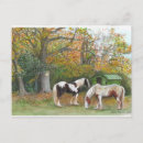 Recherche de gitans cartes postales Chevaux