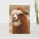 Zoek naar natuur fotografie Schattig
