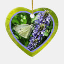 Recherche de papillon blanc ornements Coeur