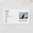 Recherche de volière cartes visite Affaires