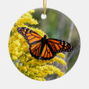 Recherche de papillon de monarque ornements Orange