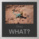 Recherche de quoi posters Attitude