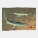 Recherche de requin cuisine linges Océan