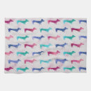 Recherche de teckel Chien de saucisse