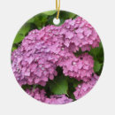 Recherche de buisson ornements Floral