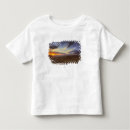 Recherche de adam jones Coucher de soleil