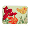 Recherche de perroquet magnets Floral