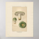Recherche de tabouret posters Nourriture