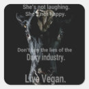 Zoek naar holstein koe stickers Kalf