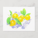 Recherche de serviettes cartes postales Toute personne