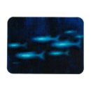 Recherche de bleus et royals magnets Moderne