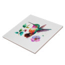 Recherche de colibri carreaux Illustration