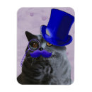 Zoek naar haken magneten Kat