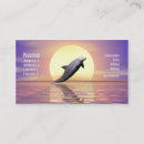 Recherche de dauphins cartes visite Tropical