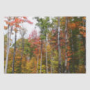 Zoek naar colorful tissue papier Herfst