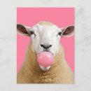 Recherche de moutons blancs cartes postales Mignon