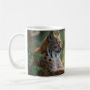 Recherche de lyn tasses Lynx roux
