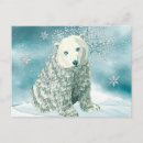 Recherche de polaire ours cartes postales Hiver