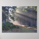 Zoek naar lichtstraal posters Lichtbundel