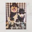 Zoek naar grappige afstuderen uitnodigingen Reünie