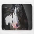 Recherche de chevaux tapis souris Animaux