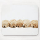 Recherche de mousepad golden retriever tapis souris Animaux