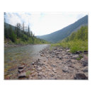 Recherche de aigle etats unis posters Nature